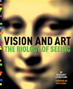 vision and art, livingston, art theory
